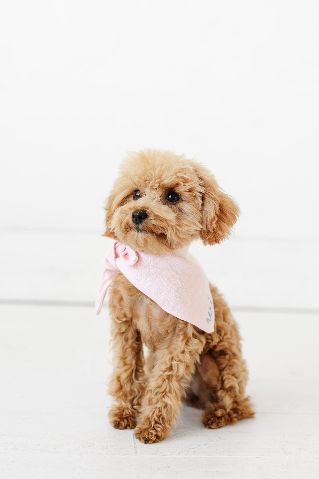 Light Pink Personalized Pet Bandana